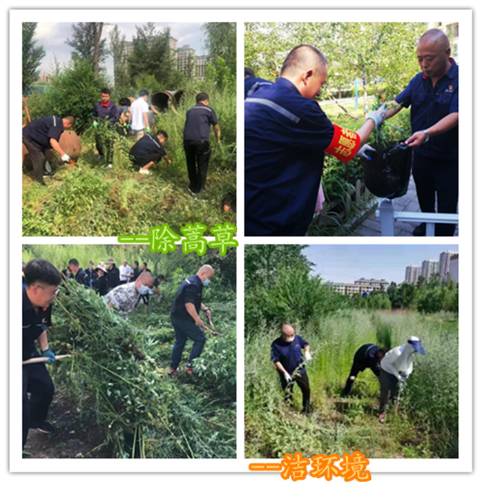 1627285126508463.jpg 2_副本.jpg