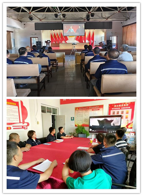 1656672047985815.jpg 10.jpg